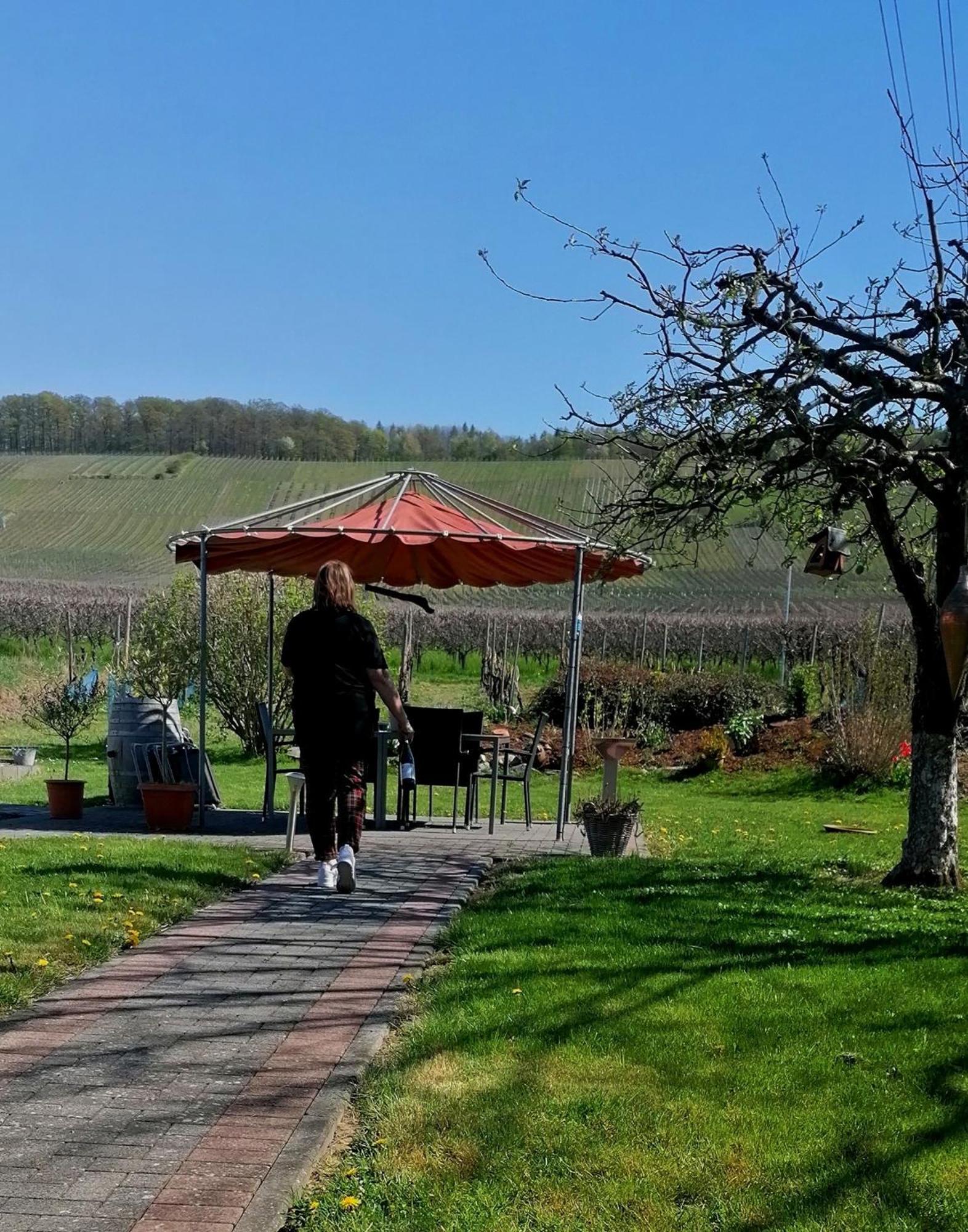Weingut Tiliahof Bed & Breakfast Браунеберг Екстериор снимка