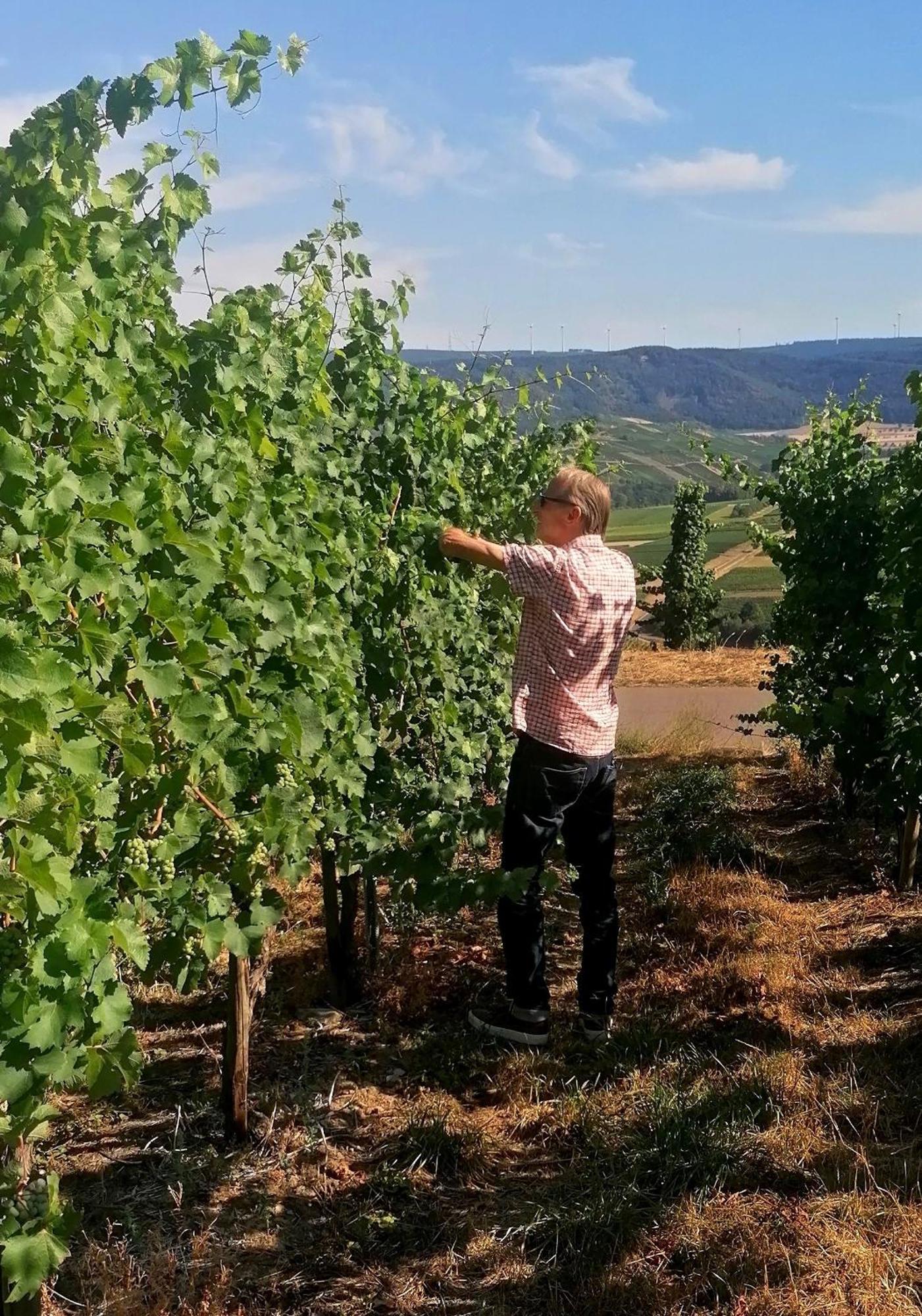 Weingut Tiliahof Bed & Breakfast Браунеберг Екстериор снимка