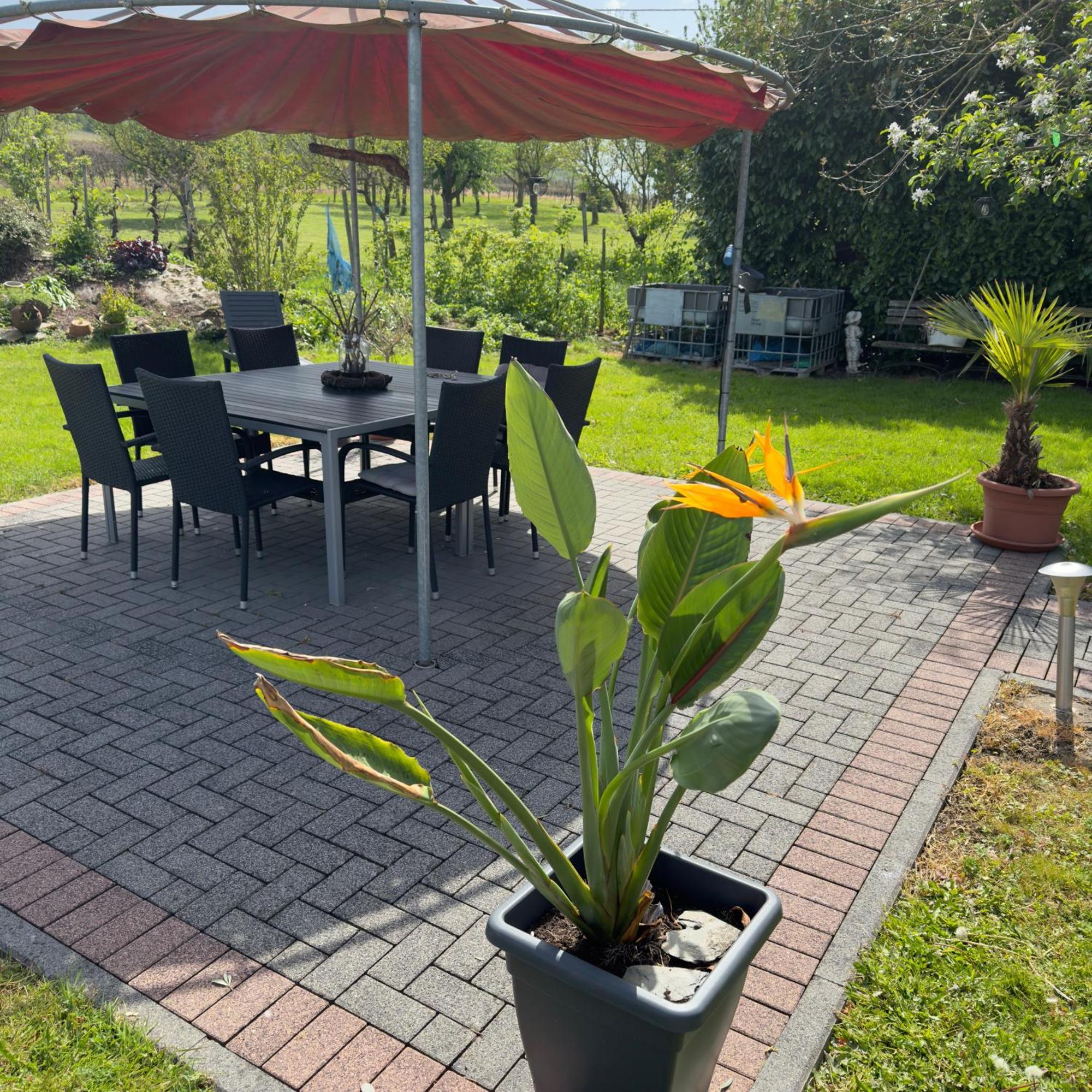 Weingut Tiliahof Bed & Breakfast Браунеберг Екстериор снимка