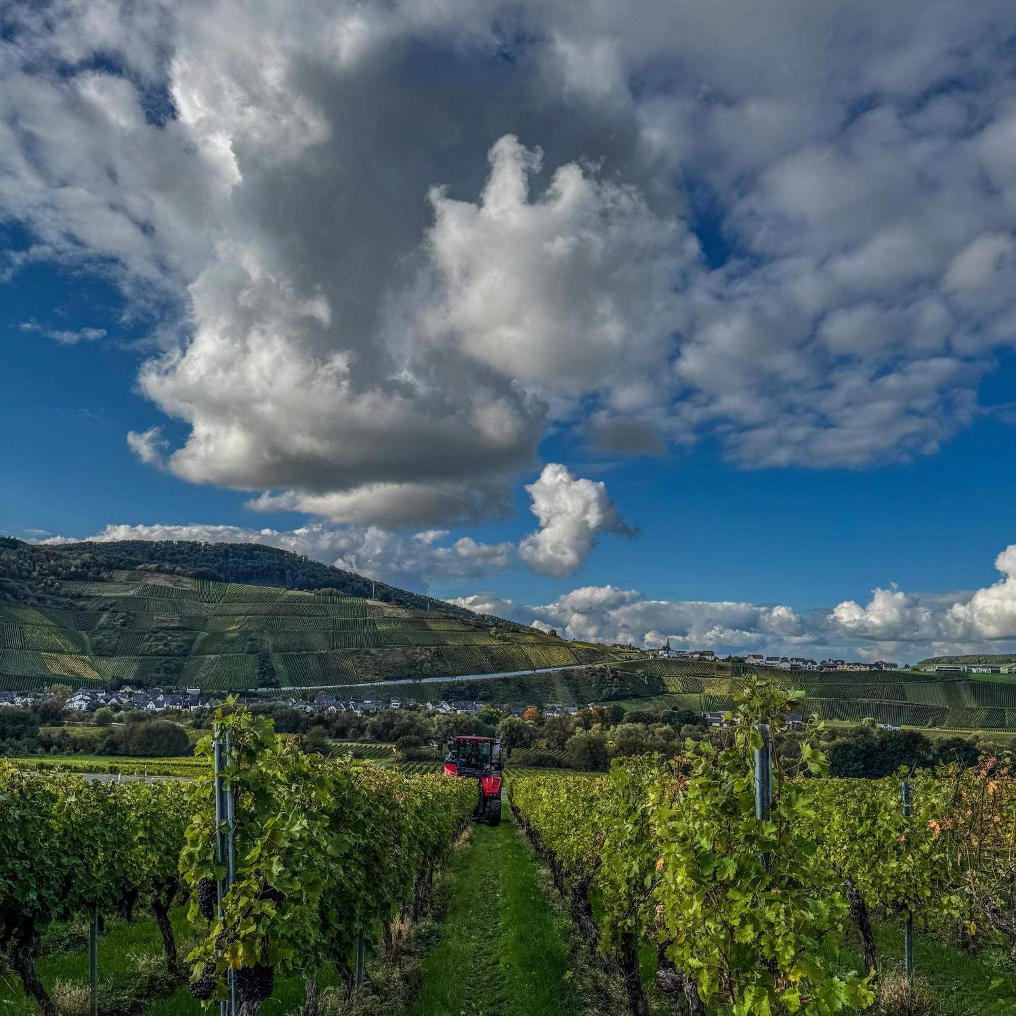 Weingut Tiliahof Bed & Breakfast Браунеберг Екстериор снимка