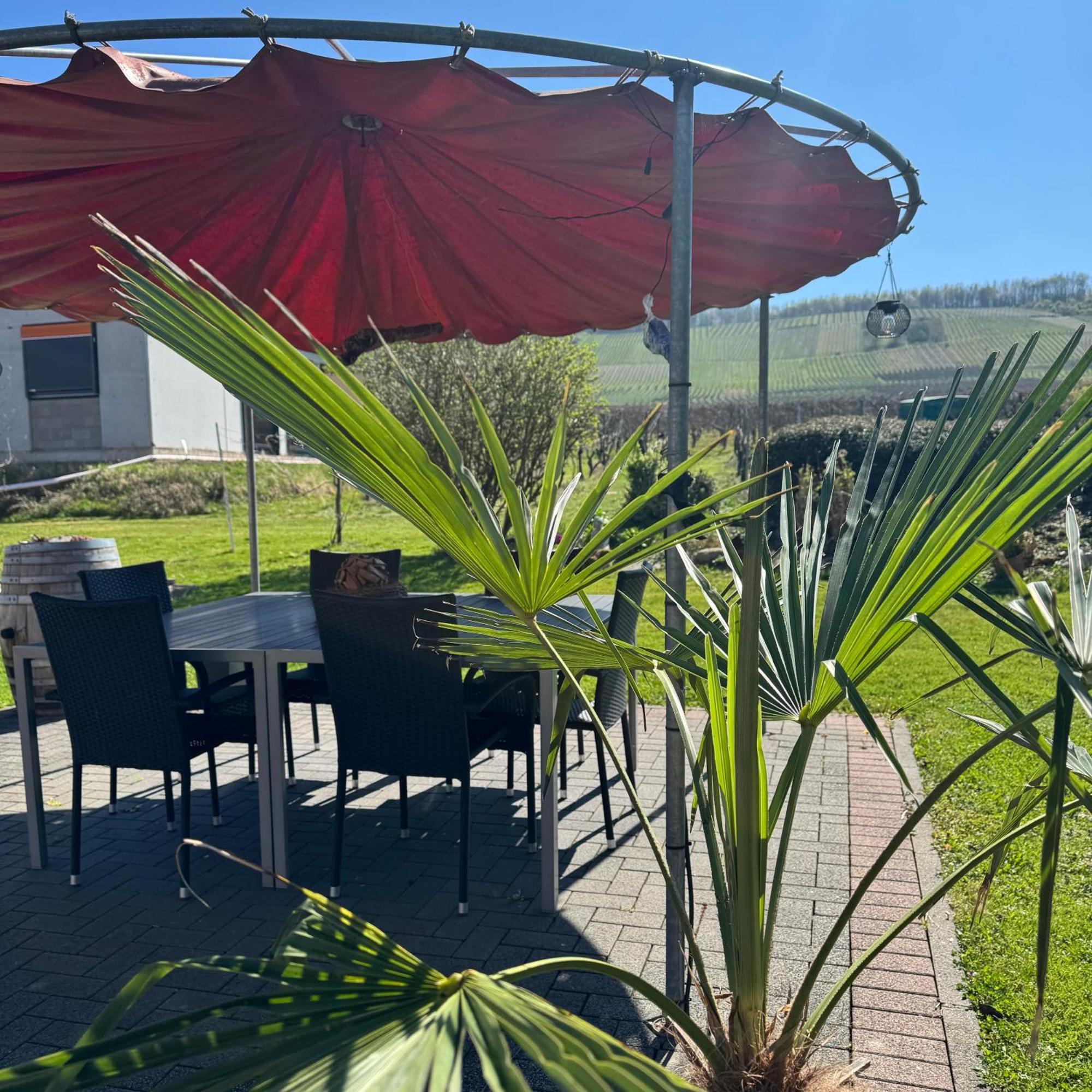 Weingut Tiliahof Bed & Breakfast Браунеберг Екстериор снимка