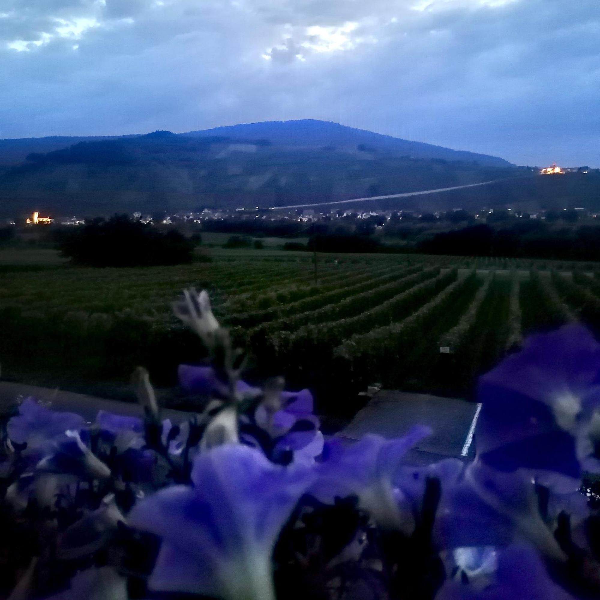 Weingut Tiliahof Bed & Breakfast Браунеберг Екстериор снимка