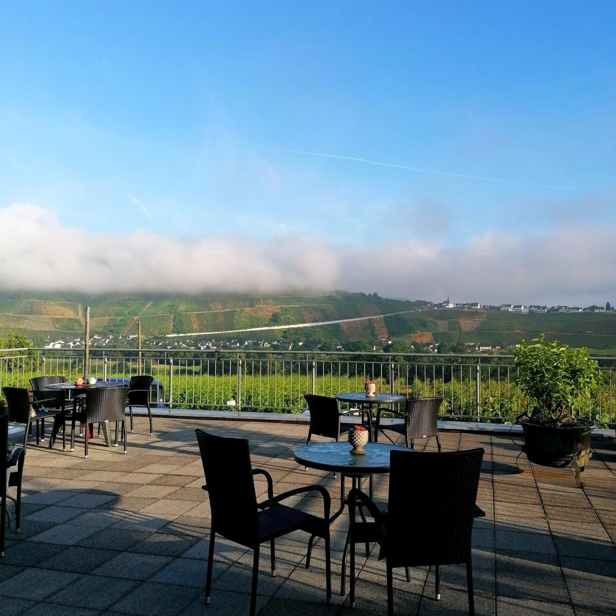 Weingut Tiliahof Bed & Breakfast Браунеберг Екстериор снимка